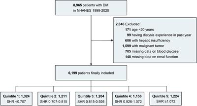 Association of stress hyperglycemia ratio with presence and severity of chronic kidney disease among US adults with diabetes mellitus